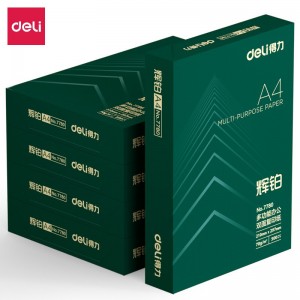 得力（deli）辉铂 A4 70g 双面打印纸 复印纸 500张/包 5包1箱（整箱2500张）