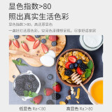 松下（Panasonic）LED吸顶灯 灯饰素白圆形19瓦 HHLA1630CB...