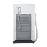 海尔（Haier）波轮洗衣机全自动 6.5公斤 四重净洗 智能称重 专属洗涤程序 EB65M019