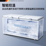 德玛仕（DEMASHI）卧式冰柜商用大容量 顶开门冷柜 572L冷藏冷冻可切换BG00069-XC02