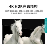 海信（Hisense）50H55E 50英寸 超高清 超薄 全面屏 智慧屏1.5G+8G 智能液晶电视机